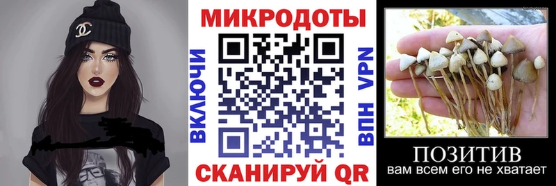 Купить закладки  Раменское  Псилоцибиновые грибы Psilocybe 